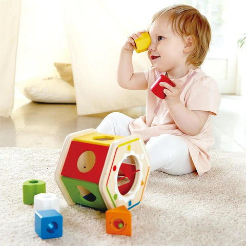 *Hape Wooden Wonder Shape Sorter