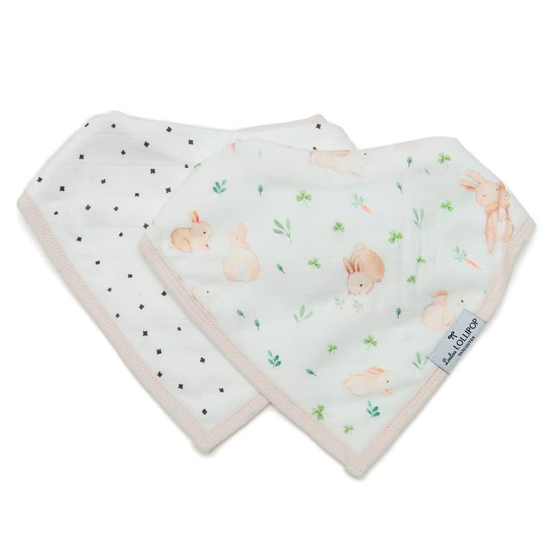 Loulou Lollipop Bandana Bib Set