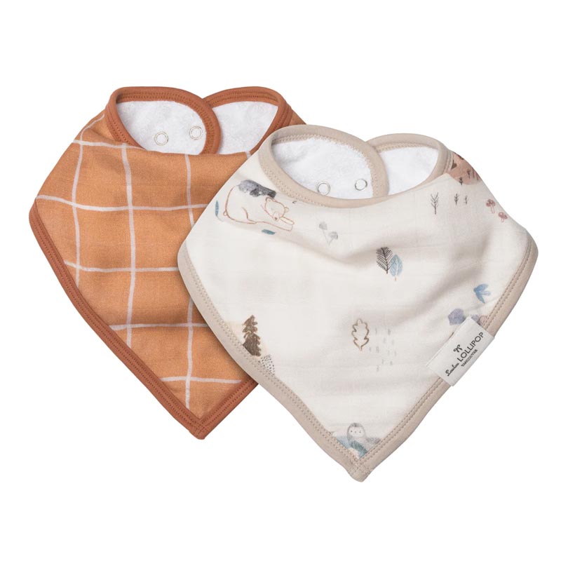 Loulou Lollipop Bandana Bib Set