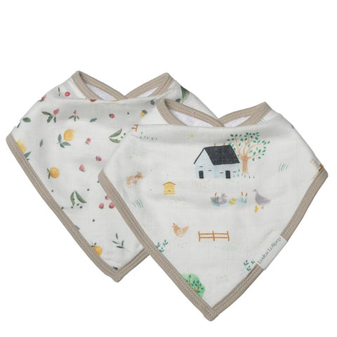 Loulou Lollipop Bandana Bib Set