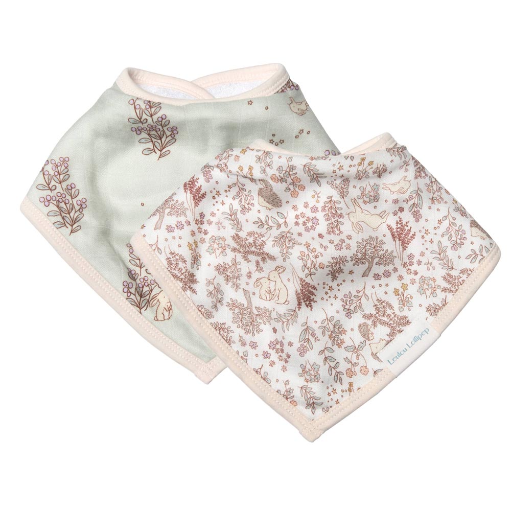 Loulou Lollipop Bandana Bib Set