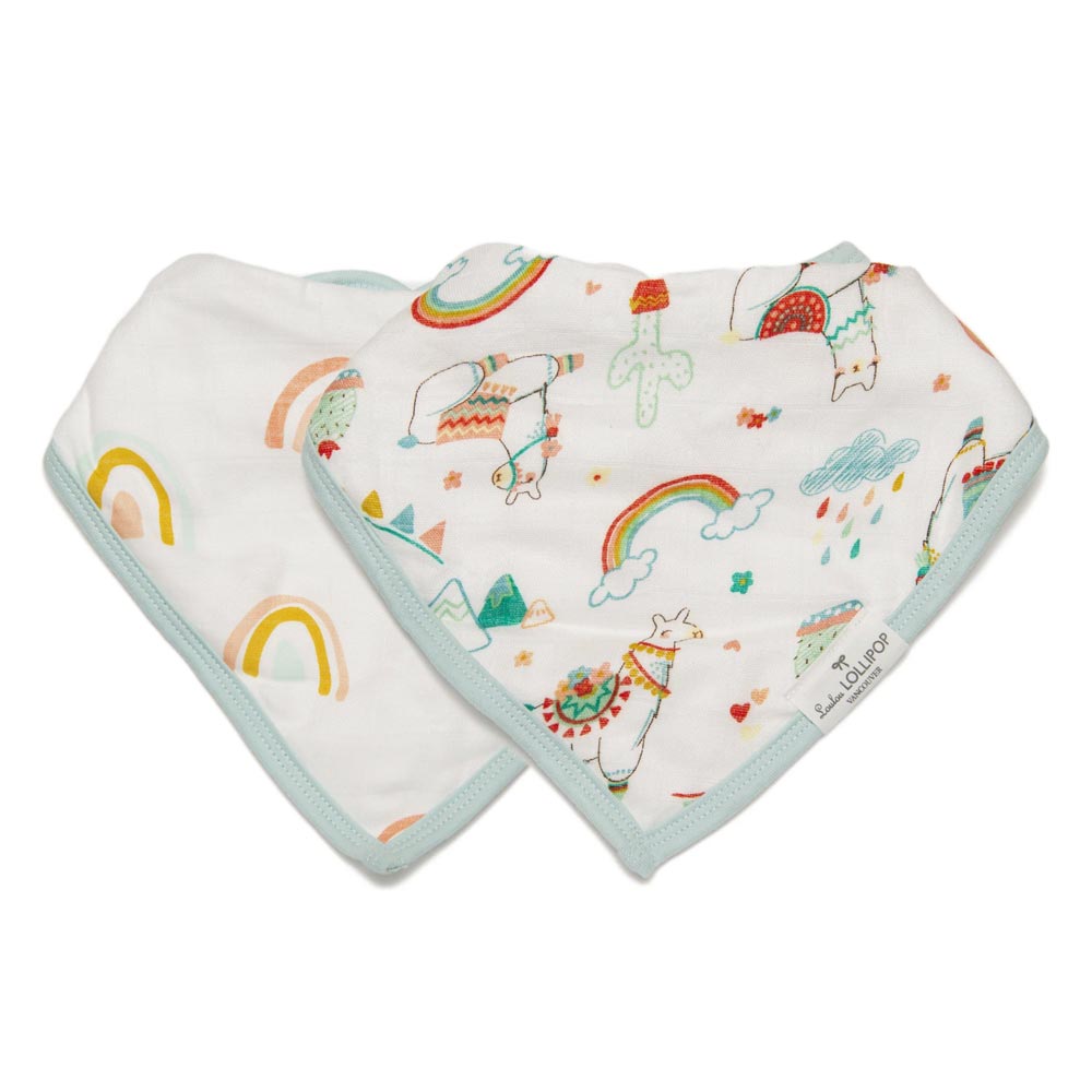 Loulou Lollipop Bandana Bib Set