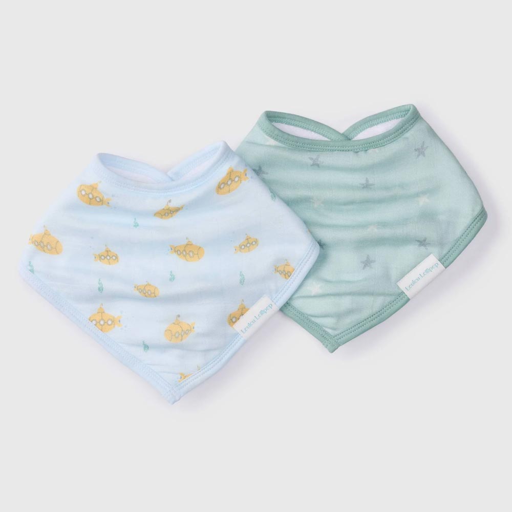 Loulou Lollipop Bandana Bib Set