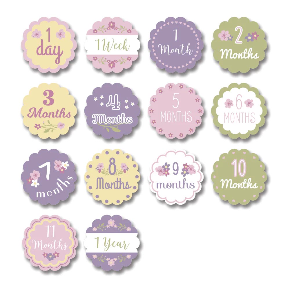 Lulujo Baby's First Year Milestone Blanket & Cards Set