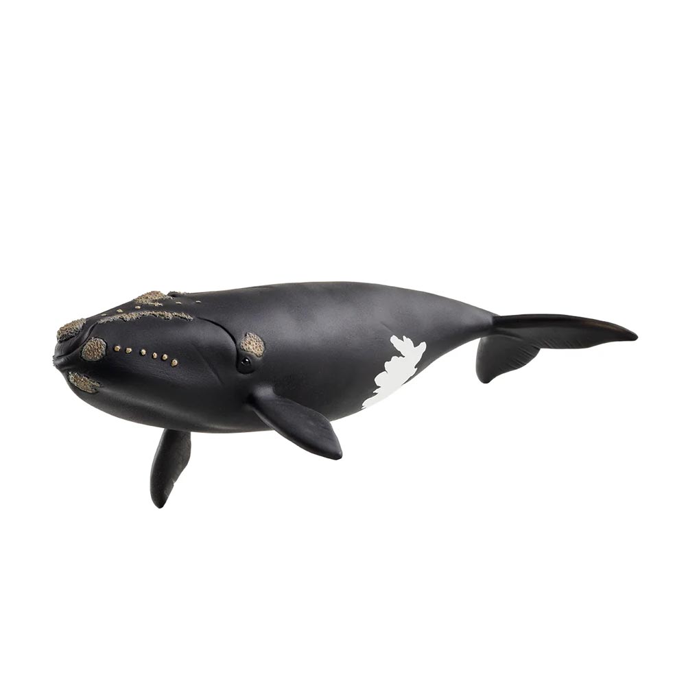 *Schleich Wild Life North Atlantic Right Whale