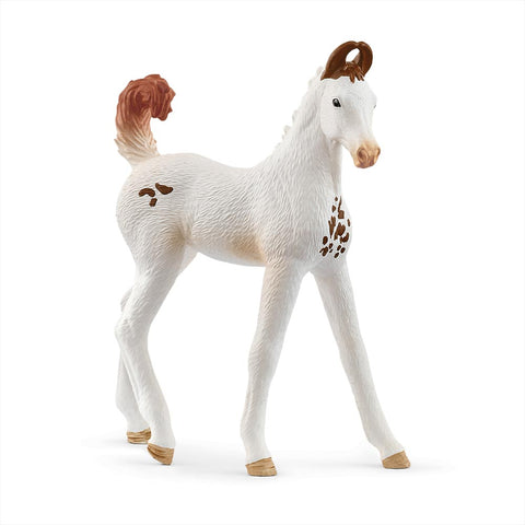 *Schleich Horse Club Marwari Foal