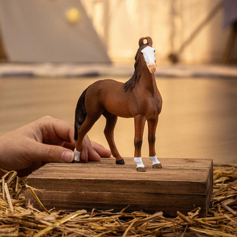 *Schleich Marwari Mare