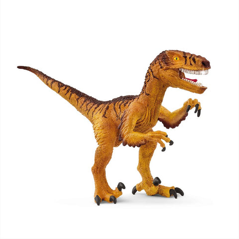 *Schleich Velociraptor