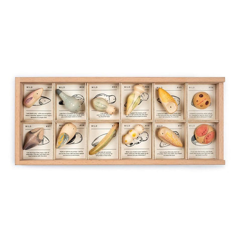 *Grapat Wild Wood (12-Pieces with Tray)