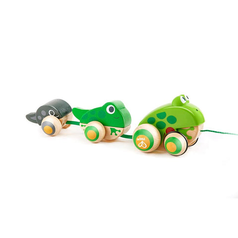 *Hape Pull-Along Frog Family