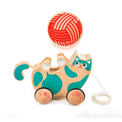 *Hape Roll & Rattle  Kitten