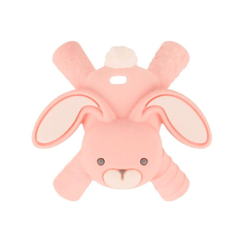 *Itzy Ritzy Teether - Bunny