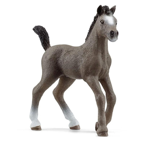 *Schleich Horse Club Selle Francais Foal