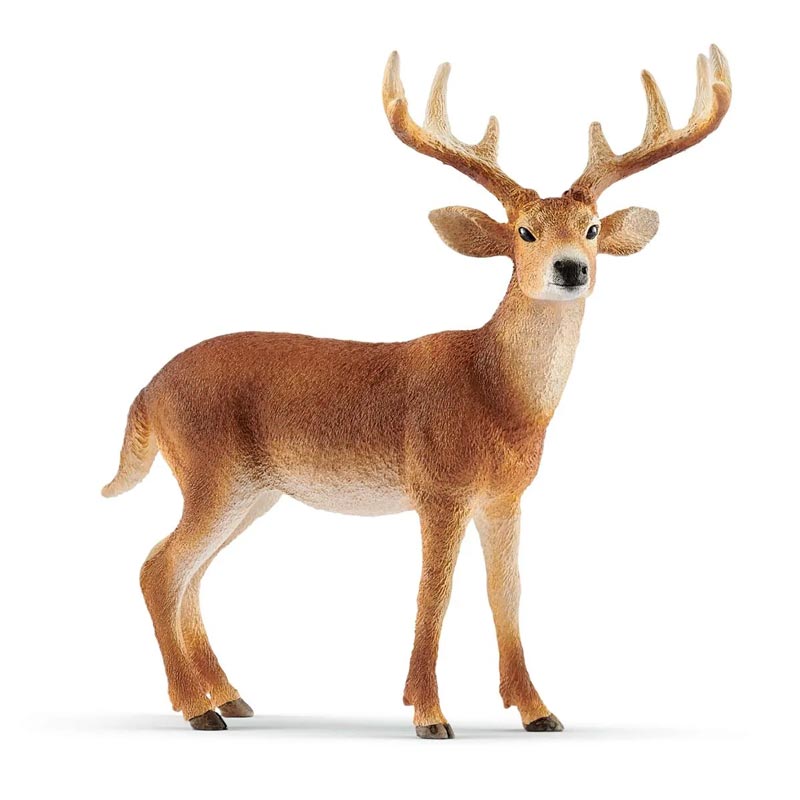 *Schleich White-Tailed Buck