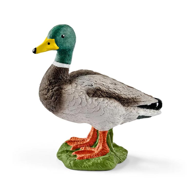 *Schleich Wild Life Drake