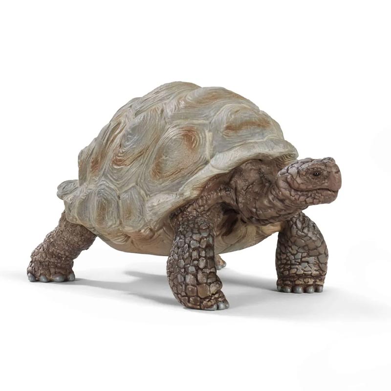 *Schleich Giant Tortoise