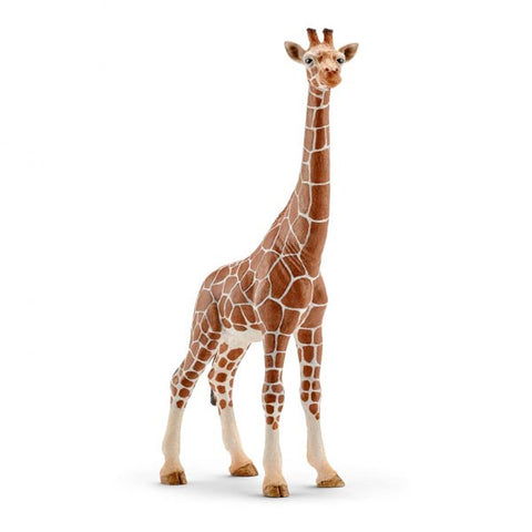 *Schleich Female Giraffe