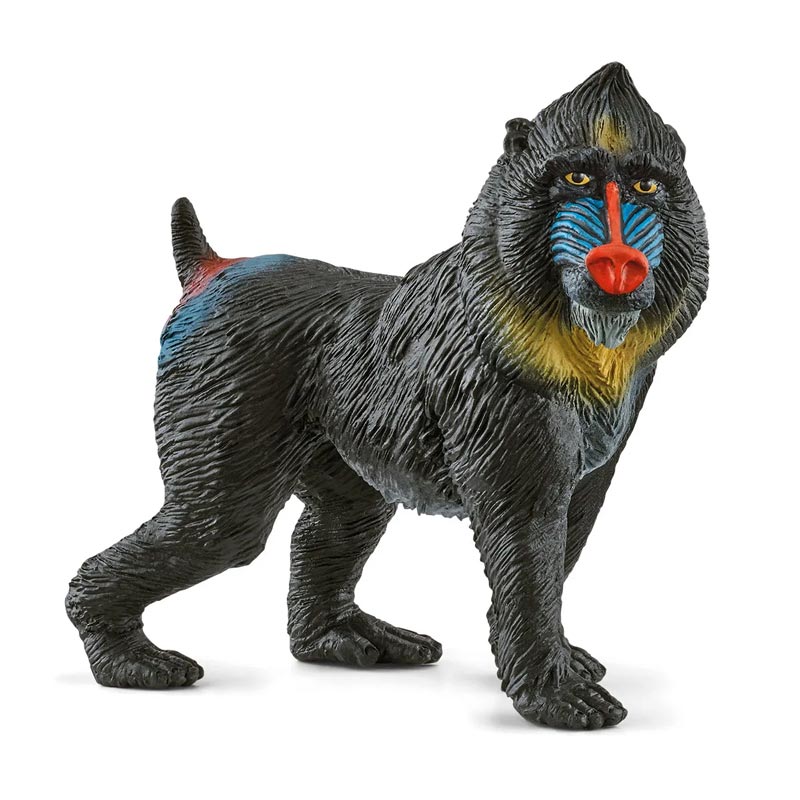 *Schleich Wild Life Mandrill