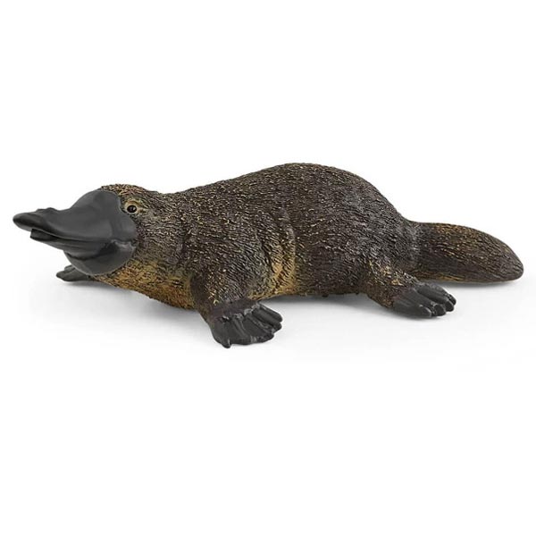 *Schleich Platypus