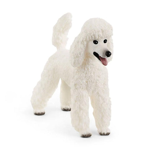 *Schleich Poodle